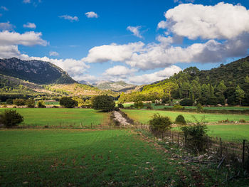 Scenic view of field against sky