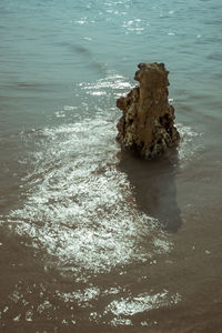 High angle view of rock in sea