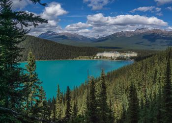 Scenic view of pine trees by lake against sky