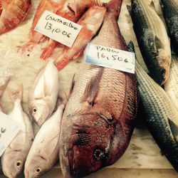 High angle view of fish for sale in market