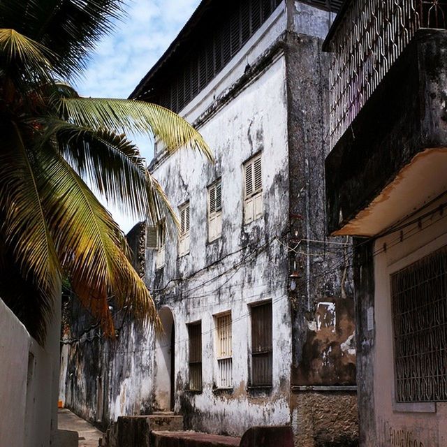 architecture, building exterior, built structure, window, residential building, low angle view, house, residential structure, building, exterior, sky, sunlight, tree, old, facade, day, outdoors, no people, roof, city