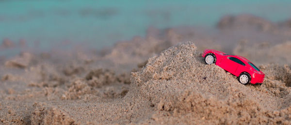 Red umbrella on land