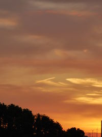 Silhouette trees against sky during sunset