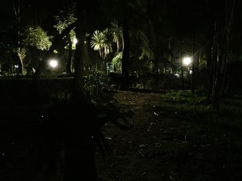 Illuminated street light at night