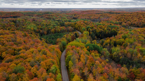 Northern wisconsin fall colors aerial view