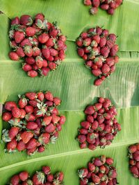 High angle view of strawberries