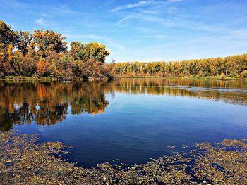 Scenic view of lake in forest against sky