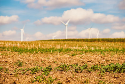 Wind turbines on field against sky