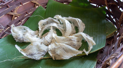 High angle view of leaves on table