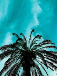 Low angle view of palm tree against blue sky