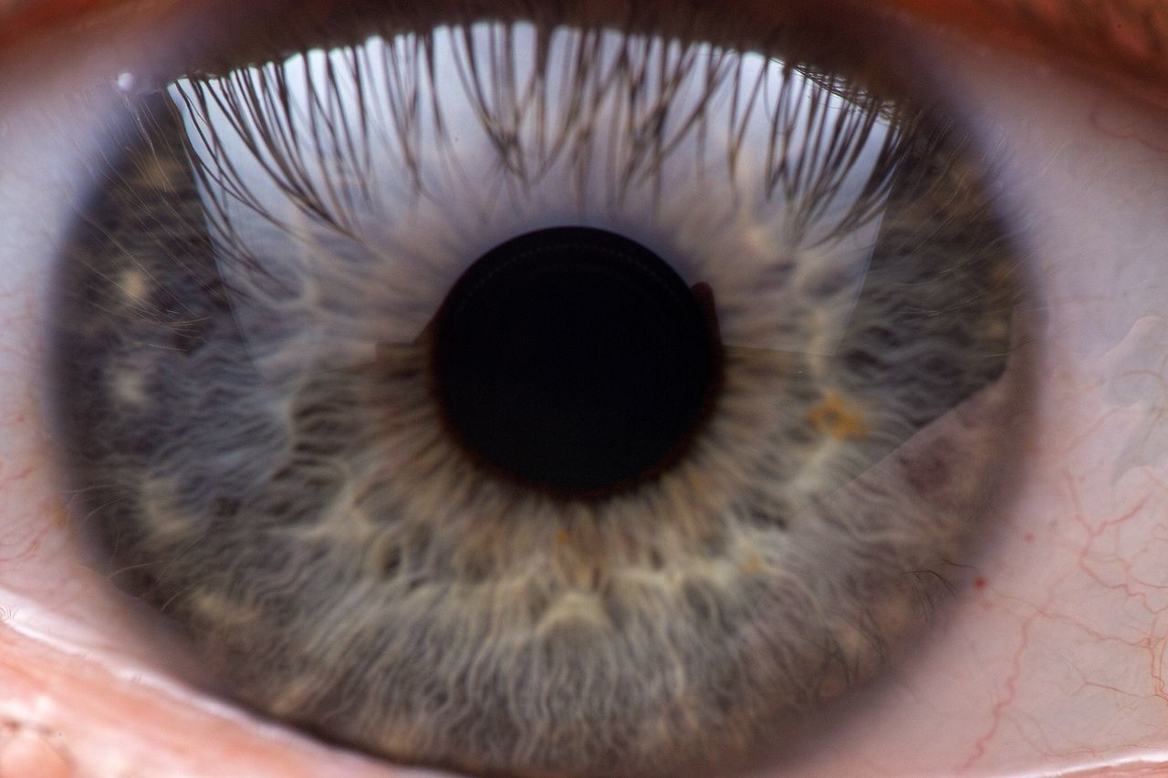 EXTREME CLOSE-UP OF EYE