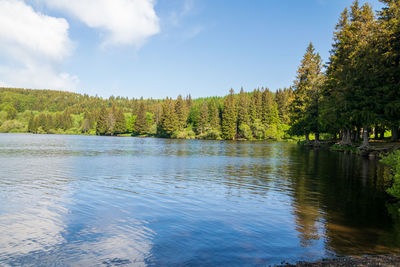 Scenic view of lake by trees against sky