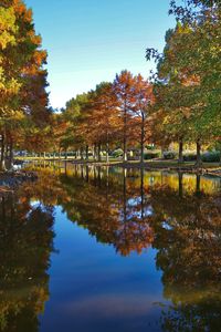 Trees by lake against sky during autumn