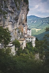 Trees and buildings on mountain