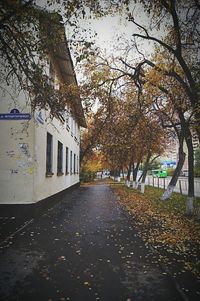 Narrow walkway along buildings