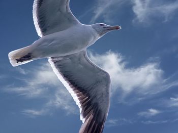 Low angle view of cloudy sky