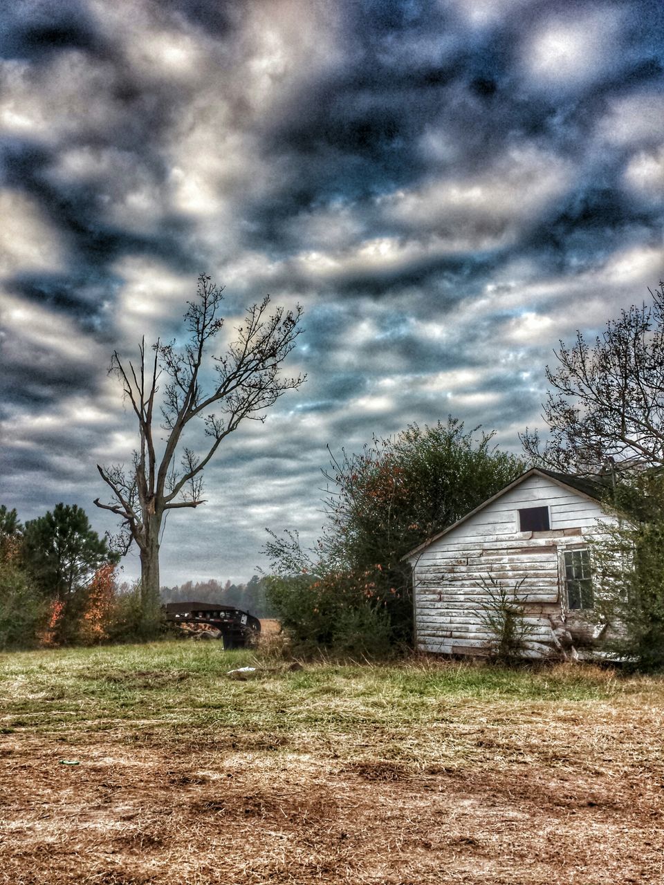 sky, cloud - sky, built structure, architecture, building exterior, cloudy, tree, house, field, grass, bare tree, cloud, landscape, rural scene, overcast, weather, nature, storm cloud, tranquility, residential structure