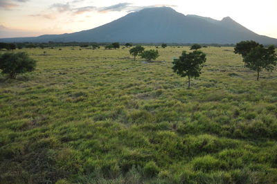 Scenic view of landscape and mountains against sky