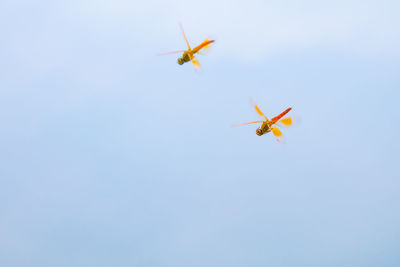 Low angle view of helicopter flying against clear blue sky