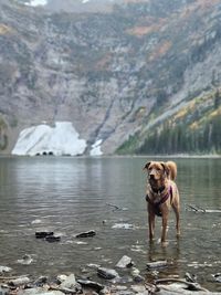 Alpine lake