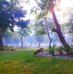 People relaxing in park
