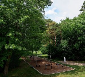 Trees in park against sky