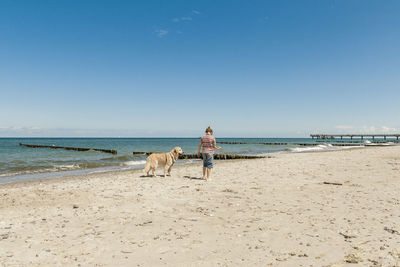 Man with dog walking on beach against clear sky
