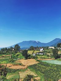 Scenic view of field by houses against sky