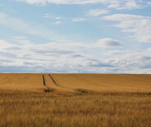 View of fields against cloudy sky