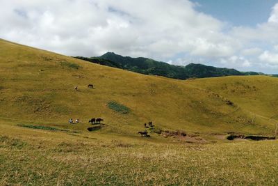 Scenic view of field against sky