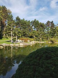 Scenic view of lake by trees against sky