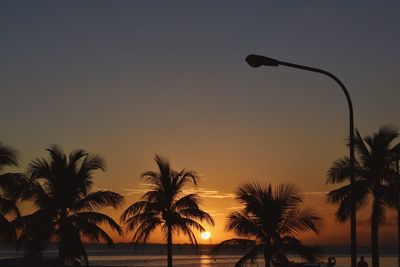 Silhouette palm trees by swimming pool against sky during sunset