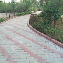 Footpath amidst trees