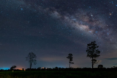 Trees on field against sky at night