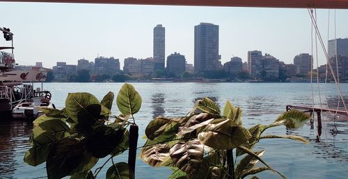 Panoramic view of river and buildings against clear sky