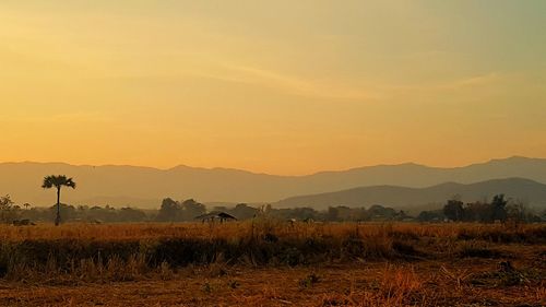 Scenic view of field against sky during sunset