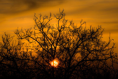 Low angle view of silhouette bare tree against romantic sky