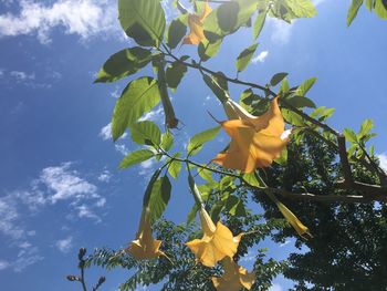 Low angle view of tree against cloudy sky