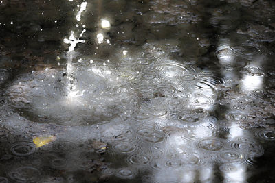 Full frame shot of water drops on white surface