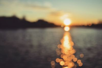 Close-up of illuminated tree against sky at sunset