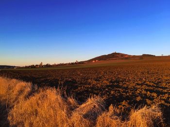 Scenic view of field against clear sky