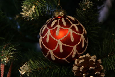 Close-up of christmas decoration on tree