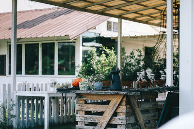 Potted plants on table at restaurant