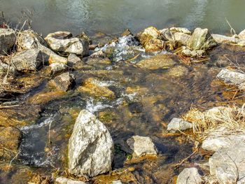 Rocks in sea