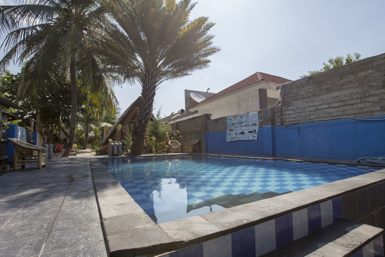 VIEW OF SWIMMING POOL BY BUILDING