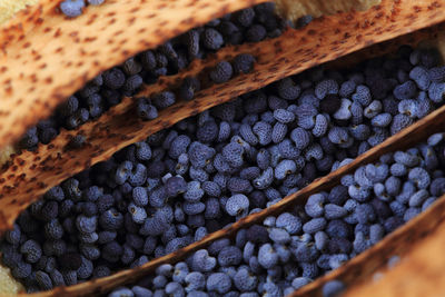 Full frame shot of berries