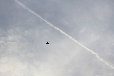 Low angle view of airplane flying in sky