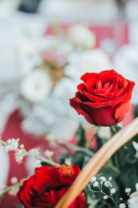 Close-up of red rose against blurred background