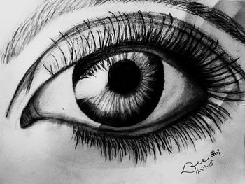 human eye