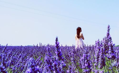 View of woman standing in lavender field